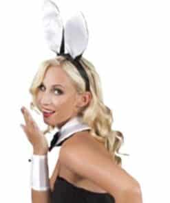 Ladies Sexy Themed Costumes