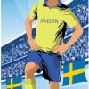 Sweden Football Stand In