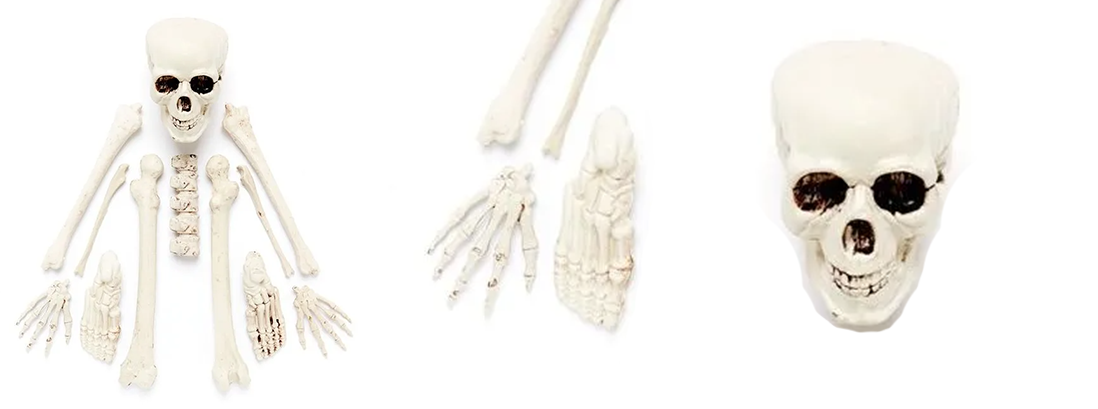 Bag of Skeleton Bones
