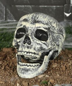 Halloween Skulls Decorations