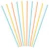 Pastel Mix Paper Straws