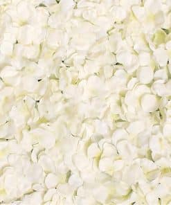 Alternative view of Cream Hydrangea Flower Wall - 46cm x 61cm