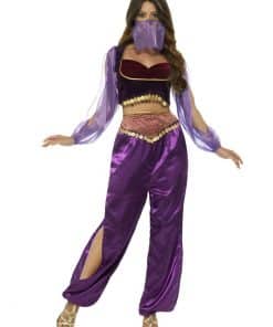Arabian Princess Purple Adult Costume