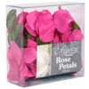 Fuchsia Pink Rose Petals