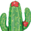 Cactus Balloon