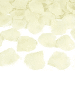 Cream Rose Petals
