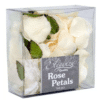 Cream Rose Petals