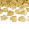 Gold Rose Petals