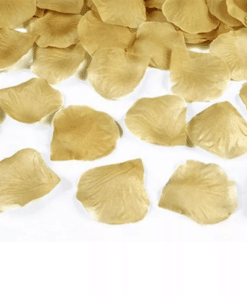 Gold Rose Petals