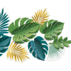 Tropical Decorative Leaves