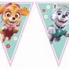 Pink Paw Patrol Party Bunting