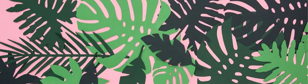 Tropical Leaf Decorations