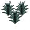 Pineapple Picks