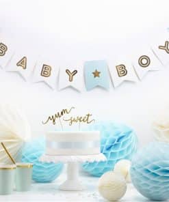 Blue Baby Boy Banner