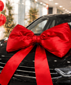Red Large Padded Car Bow