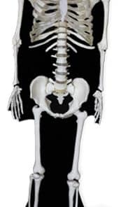 Alternative view of Halloween Skeleton Lifesize Cardboard Cutout - 1.8m
