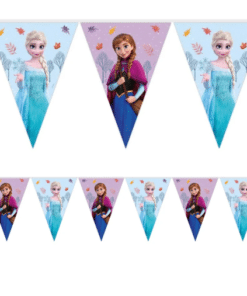 dISNEY fROZEN pARTY bUNTING