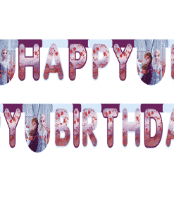 Disney Frozen Party Happy Birthday Banner