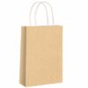 Kraft Brown Paper Party Bag