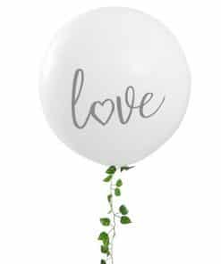 Botanical Hen Giant White Love Balloon Kit