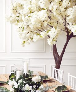 Alternative view of Cream Blossom Tree - 2.7m