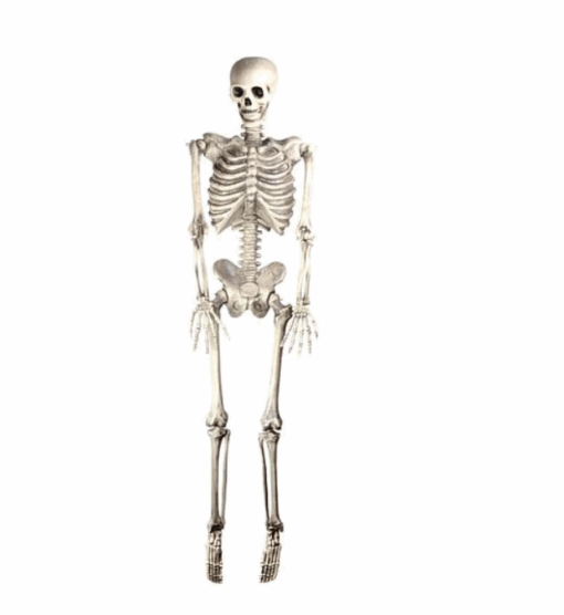 Hanging Skeleton Halloween Prop