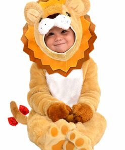 Little Roar Baby Costume - 12-24 months