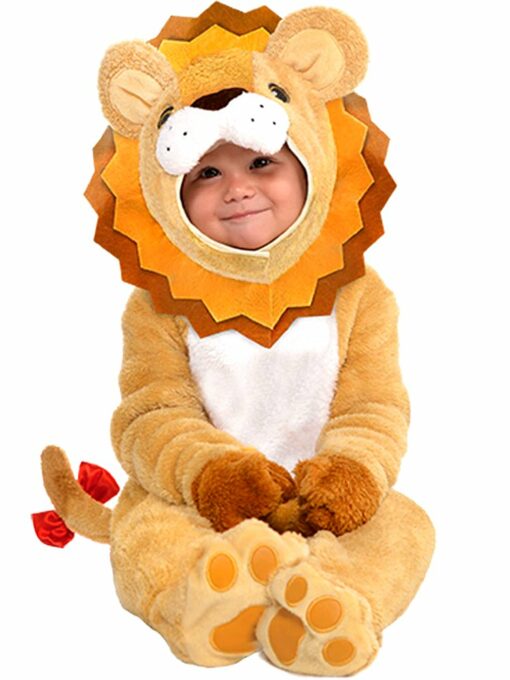 Little Roar Baby Costume - 12-24 months