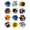 Edible Pansy Flowers Sugar Cake Decorations