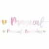 Fairy Princess 'Magical Birthday' Banner