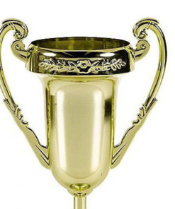 Jumbo Winners Cup Plastic Trophy