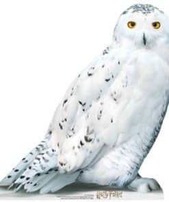 Harry Potter Hedwig Lifesize Cardboard Cutout