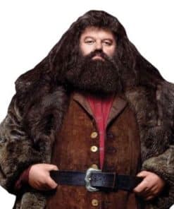 Harry Potter Hagrid Lifesize Cardboard Cutout