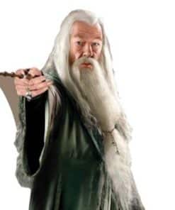 Harry Potter Dumbledore Lifesize Cardboard Cutout