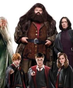 Harry Potter Cardboard Cutouts