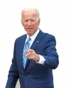 Joe Biden Lifesize Cardboard Cutout