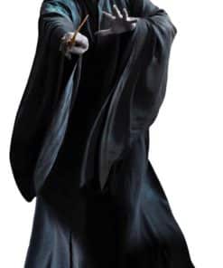 Harry Potter Lord Voldemort Lifesize Cardboard Cutout