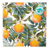 Tropical Fiesta Orange Napkins