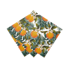 Tropical Fiesta Orange Napkins