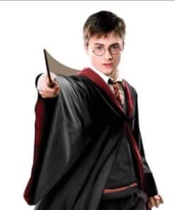 Harry Potter Quidditch Captain Lifesize Cardboard Cutout