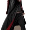 Harry Potter Quidditch Captain Lifesize Cardboard Cutout