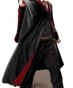 Harry Potter Quidditch Captain Lifesize Cardboard Cutout
