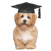 Graduation Puppy Balloon