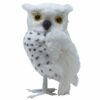 Small Owl Prop