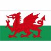 Welsh Cloth Flag
