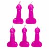 Hen Party Pink Willy Candles