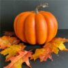 Pumpkin Autumn Table & Mantlepiece Decorating Kit