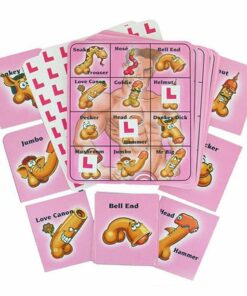 Willy Bingo Game