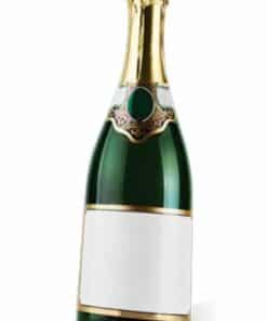 Bottle of Champagne Cardboard Cutout