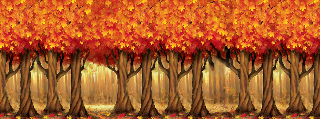 Autumn Trees Backdrop